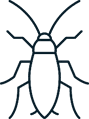Cockroach Extermination Placer County CA