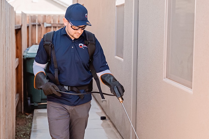 Does Taking Care Of Your Own Pest Control Really Work?