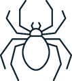 Spider Control Placer County CA
